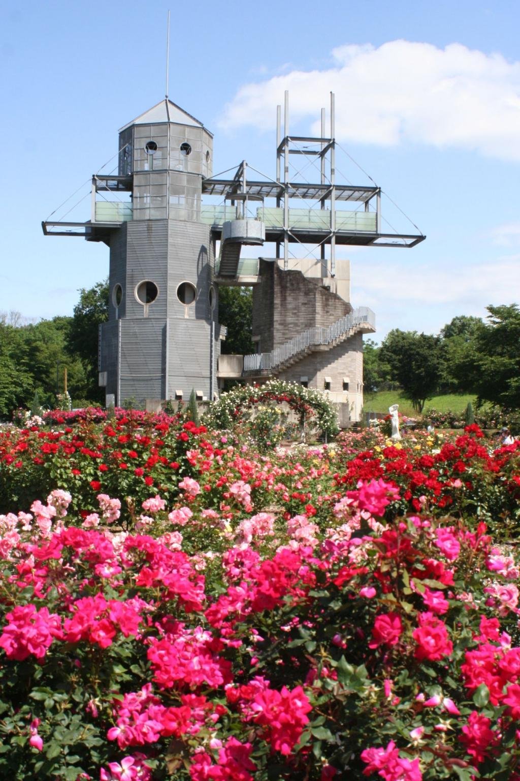 🏞️ 구마모토현 농업공원 컨트리 파크 이미지 1